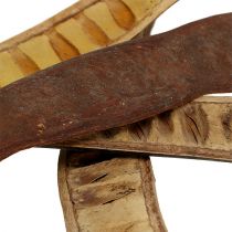 Product Scaletta pod natural 25cm - 50cm 25 pcs
