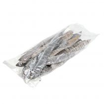 Product Scaletta pod white washed 25 pcs