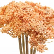 Product Yarrow artificial artificial flowers orange 50cm 5pcs in bunch