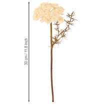 Product Yarrow artificial cream Achillea artificial flowers 30cm 6 pcs
