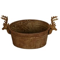 Product Oval Metal Rustic Reindeer Head Decorative Bowl 41cm
