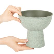 Product Potted Bowl on High Foot Round 18cm Light Green