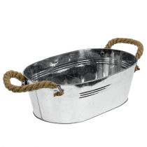 Product Bowl oval 35cm x 21.5cm H11.5cm Shiny zinc