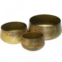 Product Decorative bowl brass metal bowl Ø20/16.5/12.5cm set of 3