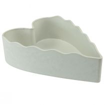 Bowl plastic heart plant bowl white gray 21×14.5×5.5cm