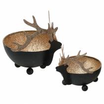 Product Bowl with Reindeer Head Black, Golden Metal Ø11/14cm Set of 2