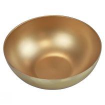 Decorative bowl gold bowl plastic matt gloss Ø20cm H7cm