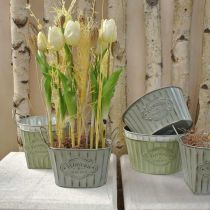 Product Flower pot made of metal plant bowl with handles green, white, gray L24cm H14.5cm 3pcs