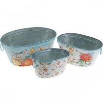 Product Plant bowls, spring, planter flowers / birds, metal container oval L39 / 31 / 24.5cm set of 3