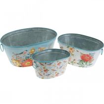 Product Plant bowls, spring, plant pot flowers/birds, metal vessel oval L39/31/24.5cm set of 3
