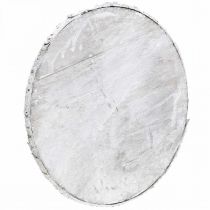 Product Decorative wooden disc with bark white coaster plywood Ø20cm