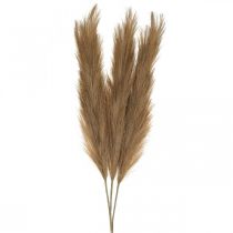 Product Feather Grass Brown Natural Artificial Dry Grass Reed 100cm 3pcs