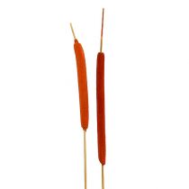 Product Reed Flakes Mix Orange 100 pcs