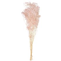 Product Gypsophila Decoration Orange Dried Grasses Peach 65-70cm 100g