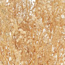 Product Gypsophila paniculate white flowers 50cm 55g