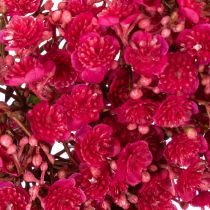 Product Artificial Gypsophila Wreath Pink Red 30cm
