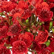 Product Artificial Red Baby’s Breath Bouquet 30cm Set of 10