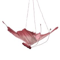 Product Large Hanging Butterfly Decoration, Elegant Wall Decoration, 50cm, 2 Pieces