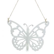 Product Butterfly with test tube for hanging 19x24cm 3pcs
