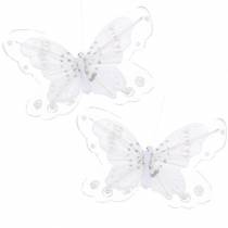 Feather butterfly on clip white 10cm 12 p