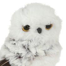 Product Snowy Owl Decoration Figure Owls Pair White Brown H12cm 4 Pcs