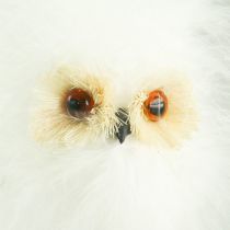 Snowy owl on wooden stick 7cm L28cm 6pcs