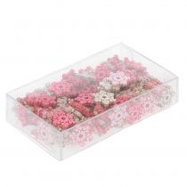 Product Snowflake Mix Pink, Rose, Natural Ø2cm 144 pcs
