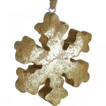 Product Snowflake mango wood natural, golden snow crystal Ø10cm 6pcs
