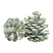 Black pine cones green frosted natural decoration 5–7cm 1kg
