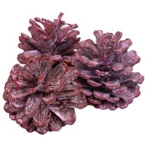 Black pine cones red natural decoration frosted 5–7cm 1kg
