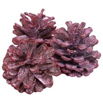 Product Black pine cones red natural decoration frosted 5–7cm 1kg