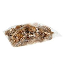 Product Black Pine Cones Decorative Cones Cream 5-8cm 1kg