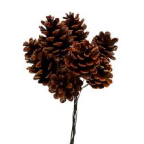 Black pine cones waxed wired 200pcs