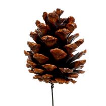Product Black pine cones waxed wired 200 pcs