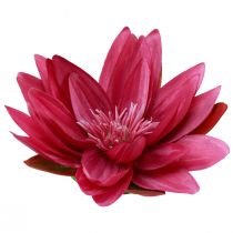Product Floating water lily artificial table decoration fuchsia Ø15cm