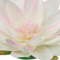 Product Floating water lilies artificial table decoration white, pink Ø15cm 2pcs