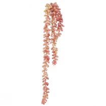 Product Sedum &#39;Rubin&#39; hanging plant - decorative, easy-care succulent 43cm 3pcs.