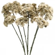 Product Sedum artificial flower sedum cream flower decoration autumn 70cm 3pcs