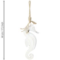 Product Seahorse Decoration for Hanging White Washed 27cm