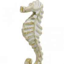 Seahorse made of wood, maritime decoration, decorative figure sea animal natural color, white H35cm