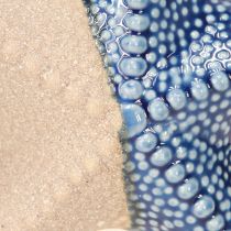 Product Starfish Porcelain Sand Blue Table Decoration Maritime Ø15cm 2pcs