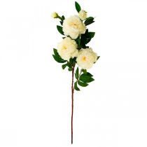 Product Silk flower peony artificial cream white 135cm