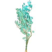 Product Dried silver leaf Lunaria light blue 65-70cm 20g