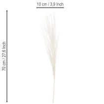 Product Dried flowers, silver grass. Elegant natural decoration for home and office. 70cm, 10 pieces.