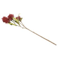Product Skimmie Skimmia Japonica Artificial Flowers Burgundy DryLook L59cm