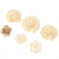 Product Sola Flowers Wood Wooden Flowers Decoration Mix Cream 6-11cm 12-15 Pcs
