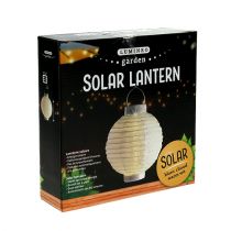 Product Lantern LED with solar 20cm white