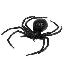 Spider Black 16cm with mica