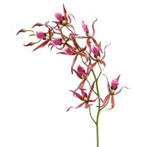 Spider orchids pink-orange 108cm 3pcs
