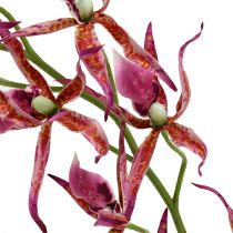 Spider orchids pink-orange 108cm 3pcs